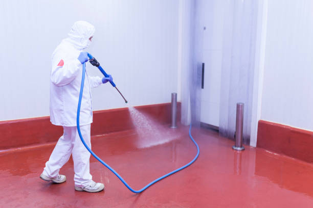 Best Driveway Pressure Washing  in Lakeland, GA
