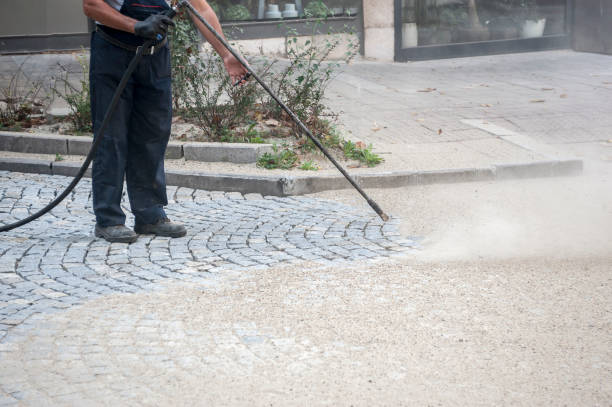 Animal Enclosure Cleaning in Lakeland, GA